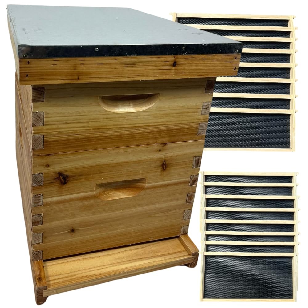 Bee Hive Complete - Premium Beehive Langstroth 8 Frame - Includes Frames, Foundations and Queen Excluder.