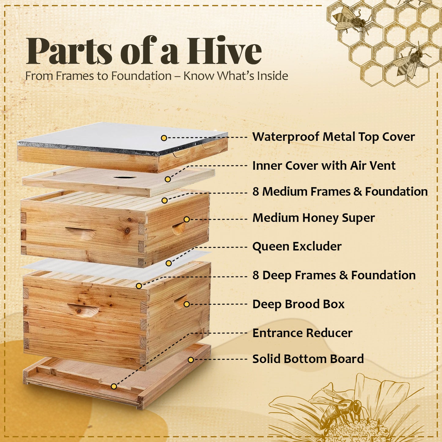 Bee Hive Starter Kit