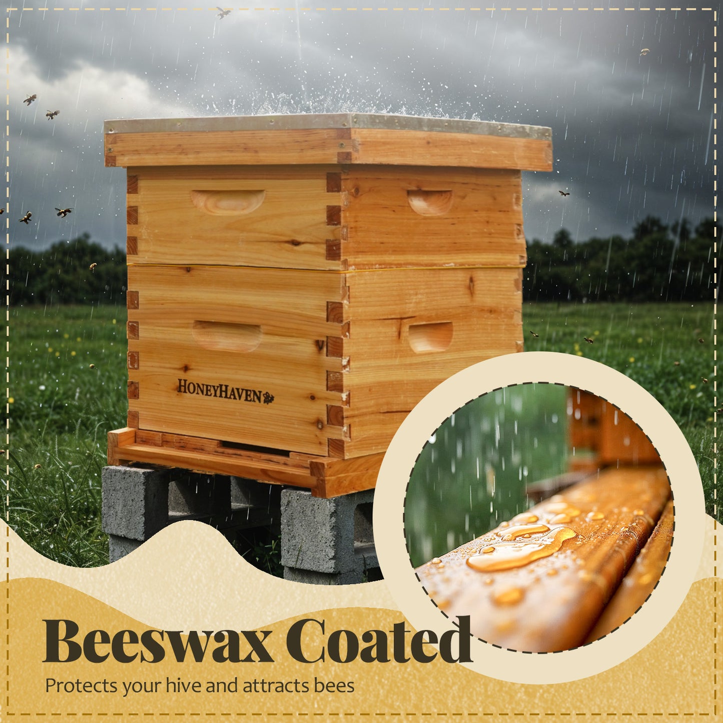 Bee Hive Starter Kit
