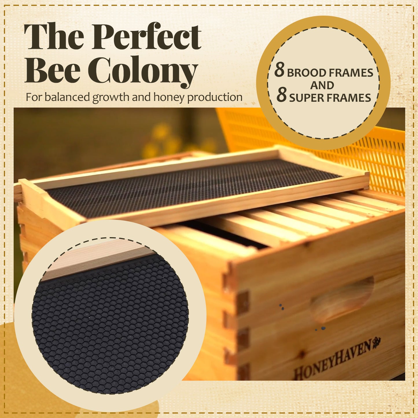 Bee Hive Starter Kit